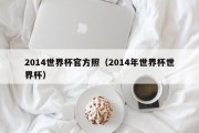 2014世界杯官方照（2014年世界杯世界杯）