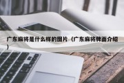 广东麻将是什么样的图片（广东麻将牌面介绍）
