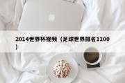 2014世界杯视频（足球世界排名1100）
