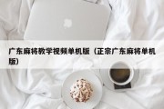 广东麻将教学视频单机版（正宗广东麻将单机版）