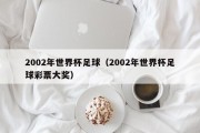 2002年世界杯足球（2002年世界杯足球彩票大奖）