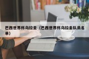 巴西世界杯乌拉圭（巴西世界杯乌拉圭队员名单）