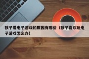 孩子爱电子游戏的原因有哪些（孩子喜欢玩电子游戏怎么办）